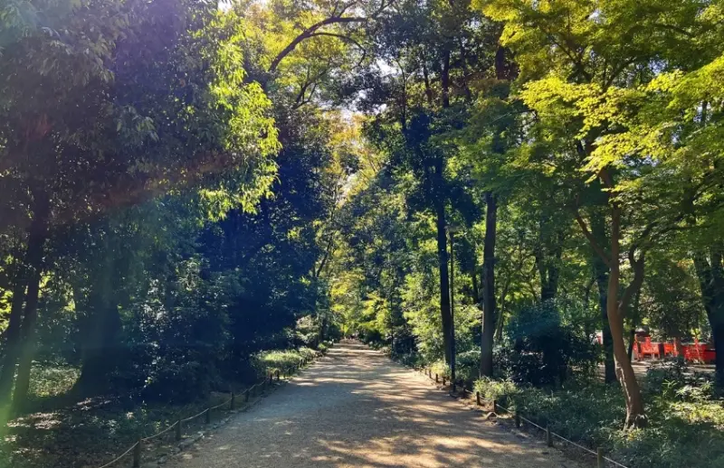 屬於京都人的降溫美學，距離河原町15分鐘車程，走訪京都上古森林「糺之森」，連結下鴨神社與河合神社的參拜散策。