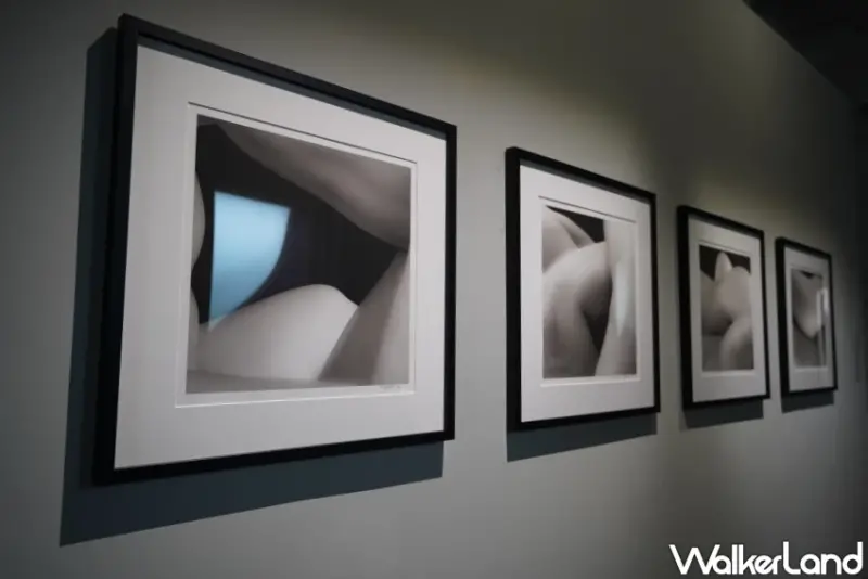 金馬賓館當代美術館！高雄軍旅建築變身藝文基地，看展覽還能嚐早午餐和甜點。