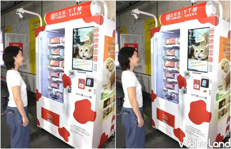 蜜柑站長生乳捲！高雄捷運貓咪站長蜜柑造型生乳捲，亞尼克YTM高雄捷運開賣。
