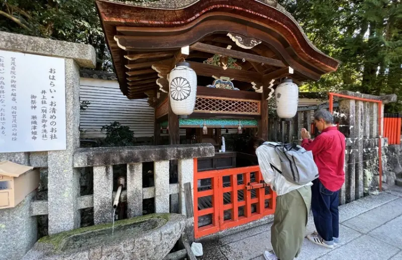 屬於京都人的降溫美學，距離河原町15分鐘車程，走訪京都上古森林「糺之森」，連結下鴨神社與河合神社的參拜散策。