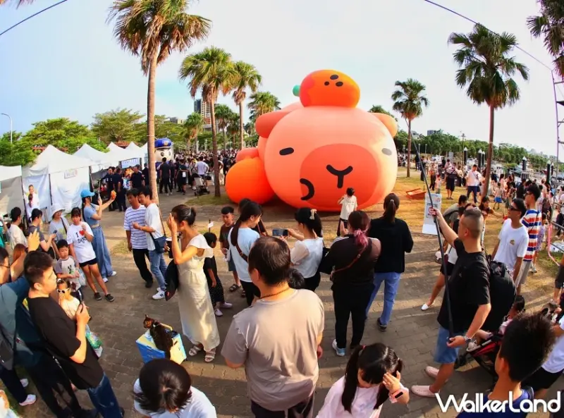 2025臺南安平景點「卡比胖拉」萌翻天！12米巨大水豚現身漁人碼頭，夜間燈光秀與假日市集全攻略。