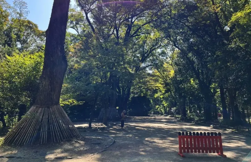 屬於京都人的降溫美學，距離河原町15分鐘車程，走訪京都上古森林「糺之森」，連結下鴨神社與河合神社的參拜散策。