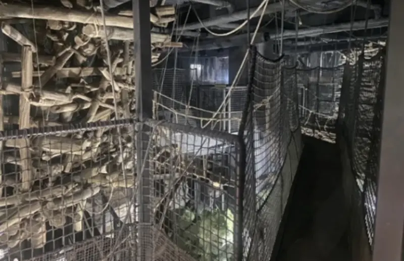 不用穿越就能一秒轉職成忍者，三重縣忍者體驗設施「萬川集海」新開幕，忍者餐廳和住宿一條龍服務。