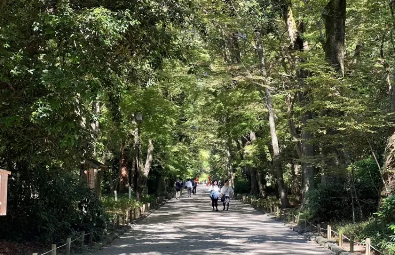 屬於京都人的降溫美學，距離河原町15分鐘車程，走訪京都上古森林「糺之森」，連結下鴨神社與河合神社的參拜散策。