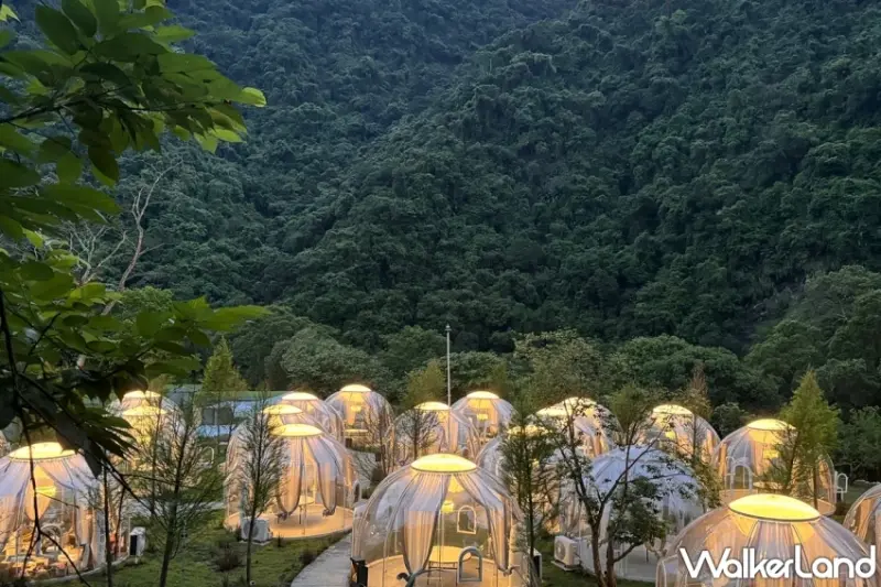 早鳥1000元優惠！環島之星萌旅號攜手雲品國際推「雲遊台灣慢旅」，易遊網三大行程搶先曝光。