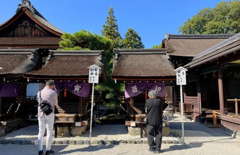 屬於京都人的降溫美學，距離河原町15分鐘車程，走訪京都上古森林「糺之森」，連結下鴨神社與河合神社的參拜散策。