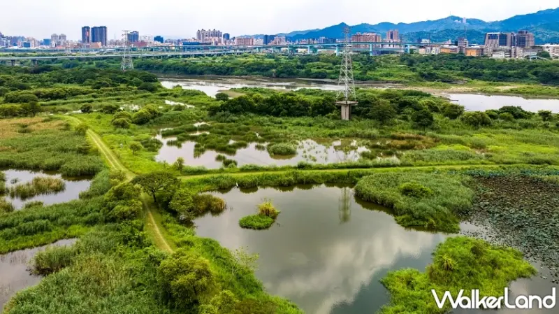 新北綠色旅遊攻略！坪林、三峽、雙溪3條秘境路線，週末就出發體驗最真實的在地文化。