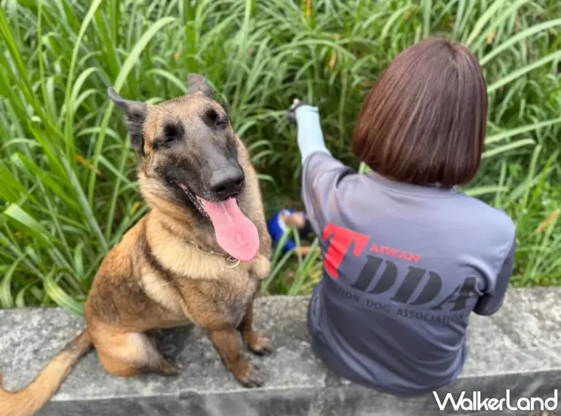 汪喵星球攜手台灣偵搜犬協會！推出2025全民安心捐款行動，支持搜救犬守護家庭團圓。