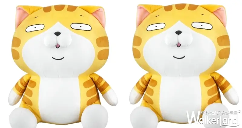 華山免費打卡點「白爛貓87超商期間限定店」/ WalkerLand窩客島提供