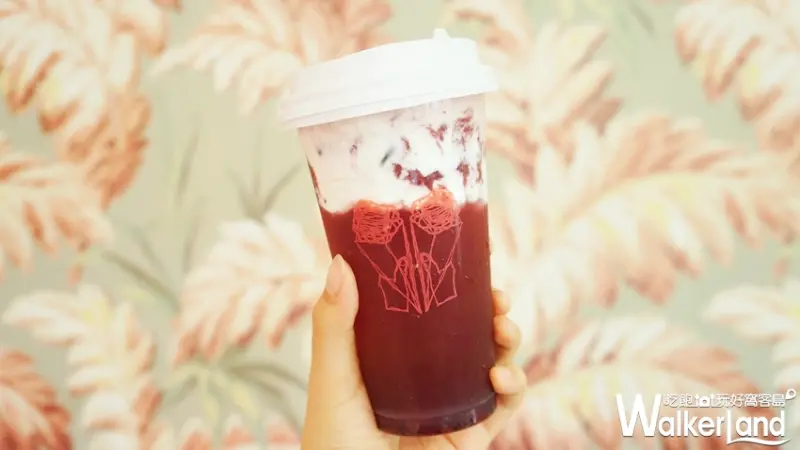 EGGY x PICNIC / WalkerLand窩客島提供