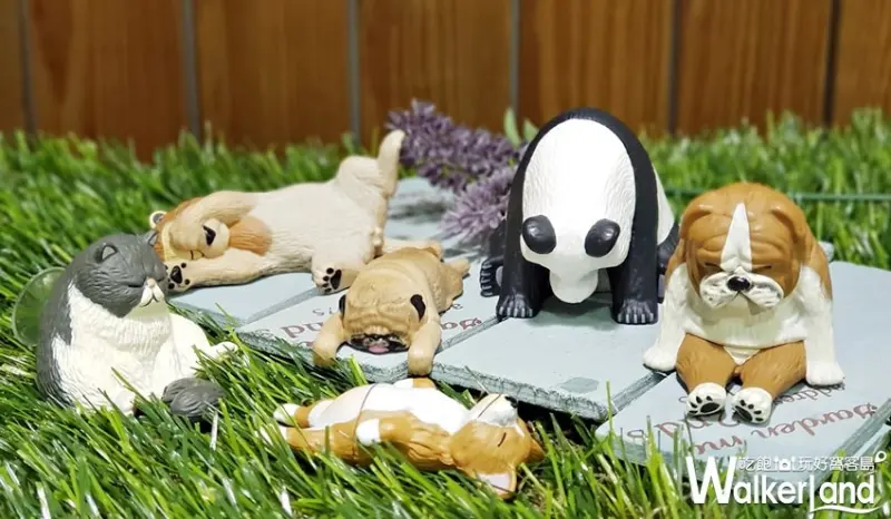 全家便利商店 / WalkerLand窩客島提供