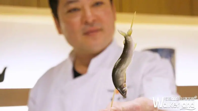 天麩羅 吉 / WalkerLand窩客島提供