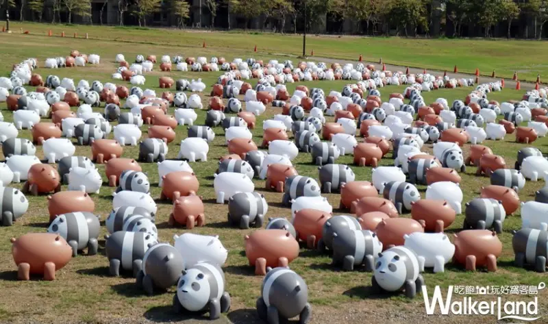 熊熊遇見你 / WalkerLand窩客島整理提供 未經許可不可轉載