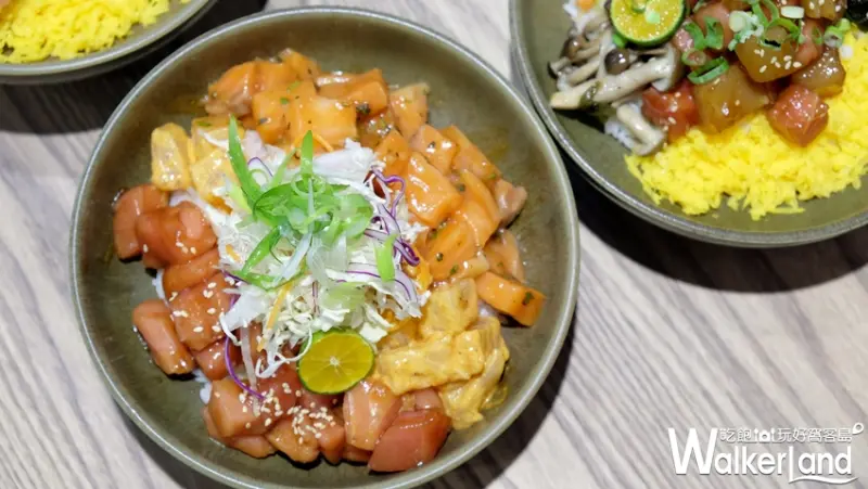 Pokeholic波奇哈客/ WalkerLand窩客島提供