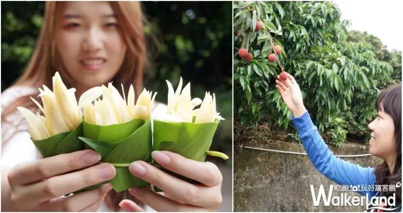 新竹隱藏版玩法 / WalkerLand窩客島提供