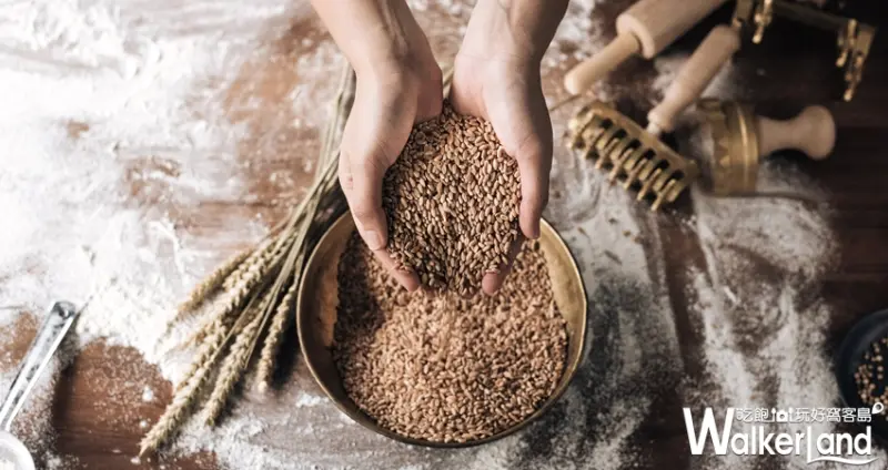 MOLINO石臼現磨手工義大利麵/ WalkerLand窩客島提供