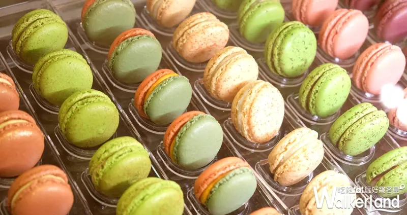 Diva Life巧克力 / WalkerLand窩客島提供