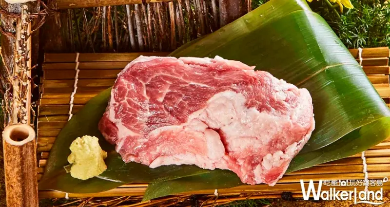 乾杯 / WalkerLand窩客島提供