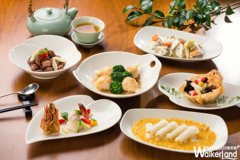 台北君悅春回賞味白蘆筍!中西料理技法一探白美人餘韻!