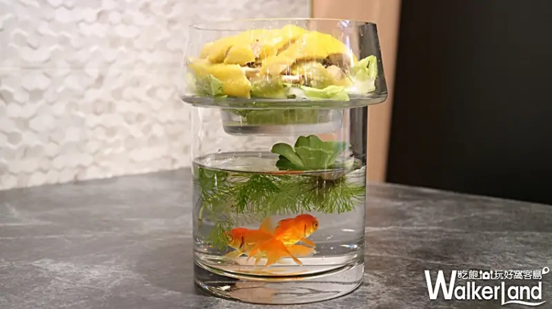 飯BAR 信義微風 中菜 / WalkerLand窩客島提供