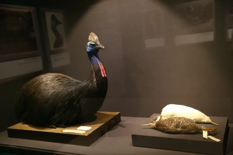 聯合數位文創 / WalkerLand窩客島整理提供