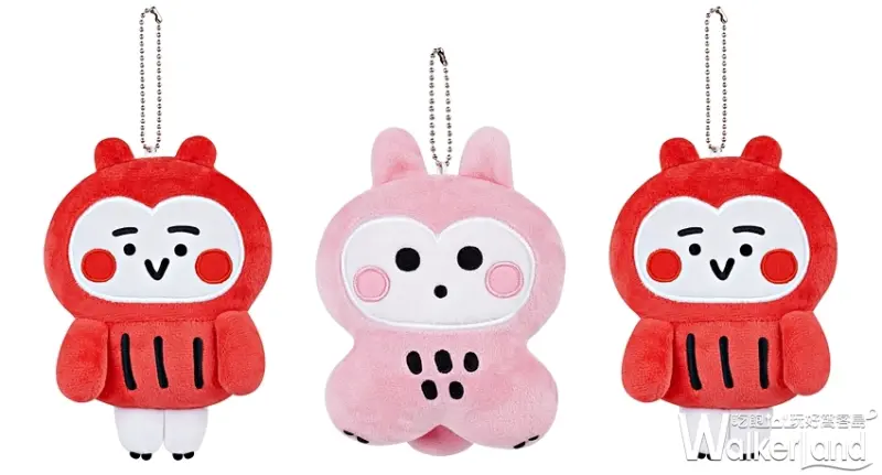 短耳貓頭鷹 / WalkerLand窩客島提供