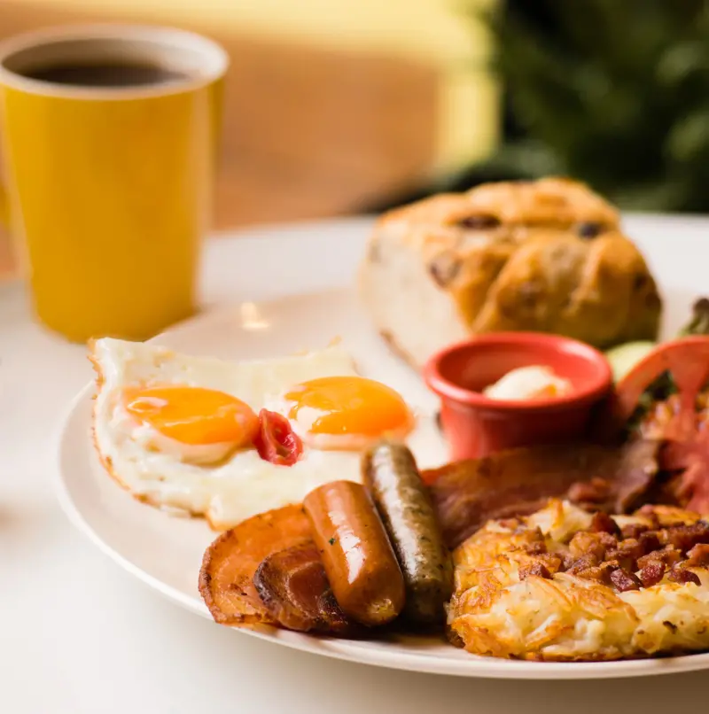 【好康試食】三隻貓頭鷹文創、ALLEN DICKSON，免費試食券大放送！