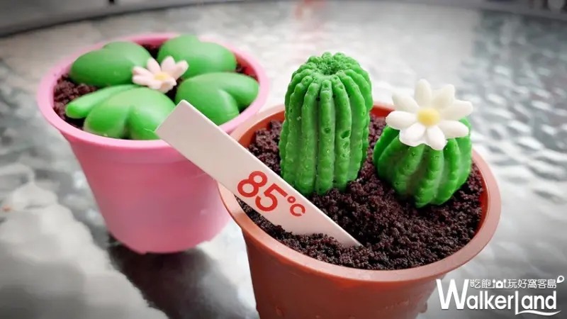 85˚C / WalkerLand窩客島提供