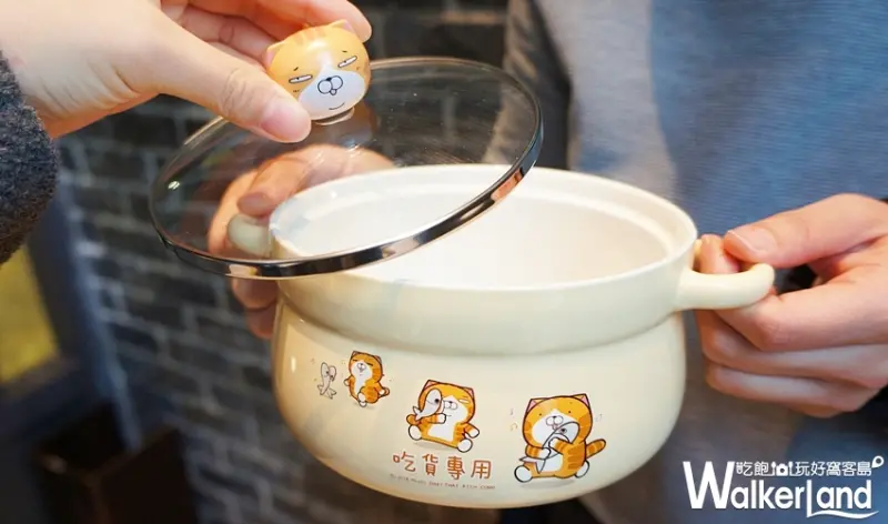 85ºC 白爛貓 / WalkerLand窩客島提供