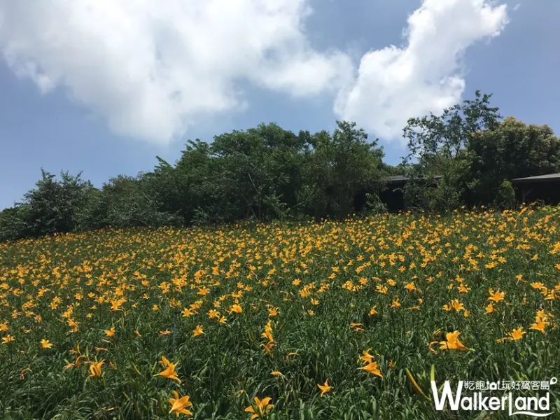 台灣休閒農業發展協會 / WalkerLand窩客島整理提供