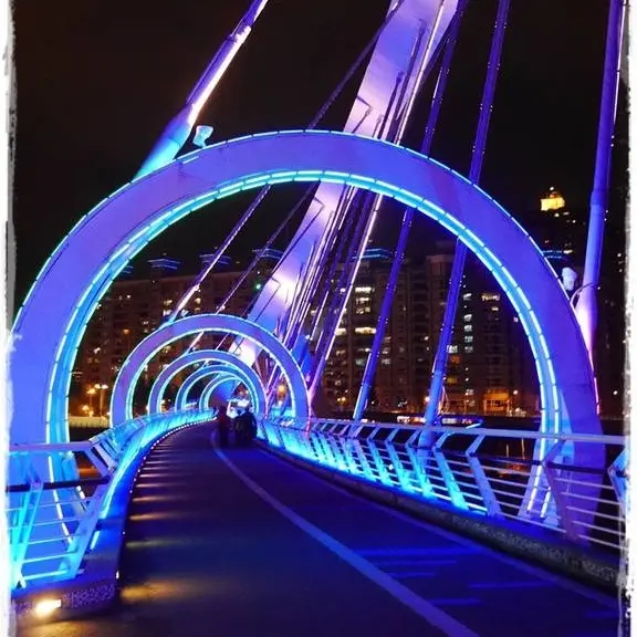 【新北◍•ᴗ•◍新店】捷運小碧潭站✯賞櫻景點・陽光運動園區賞河津櫻｜陽光運動公園河津櫻滿開，夜拍也美麗              