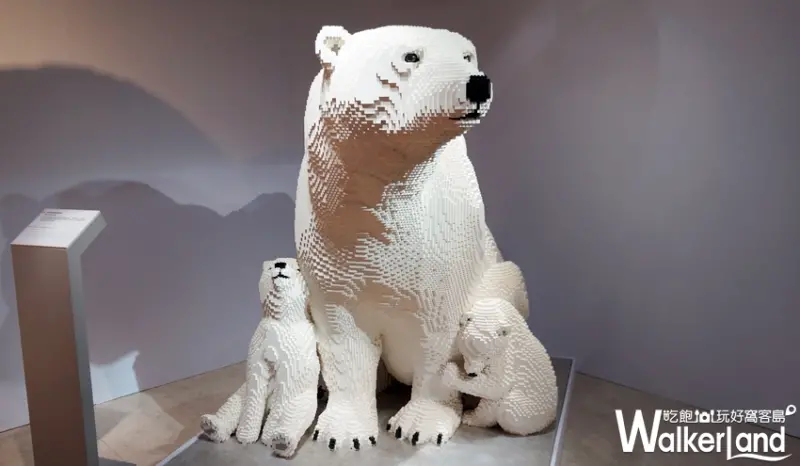 Nature Connects大動物奇積特展 / WalkerLand窩客島提供