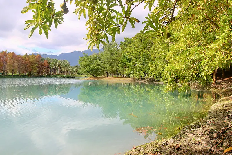 窩客 Amy Ho 推薦 雲山水濕地生態園區