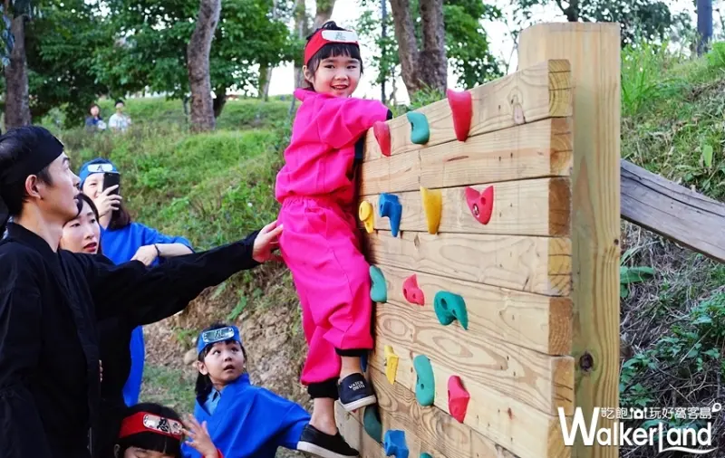 綠舞國際觀光飯店 / WalkerLand窩客島整理提供