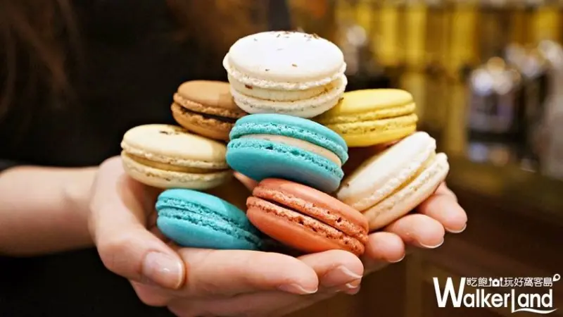 TWG Tea / WalkerLand窩客島提供