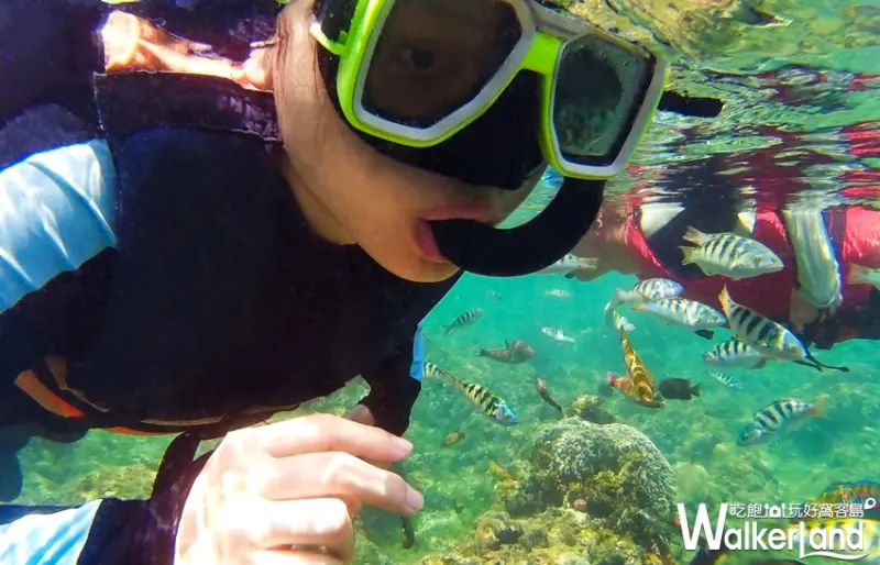  墾丁 / WalkerLand窩客島提供