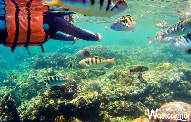  華泰瑞苑墾丁賓館 / WalkerLand窩客島提供