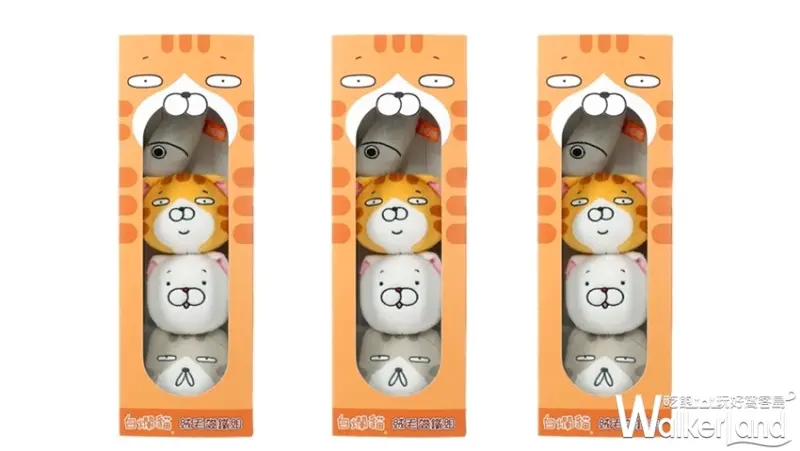 華山免費打卡點「白爛貓87超商期間限定店」/ WalkerLand窩客島提供