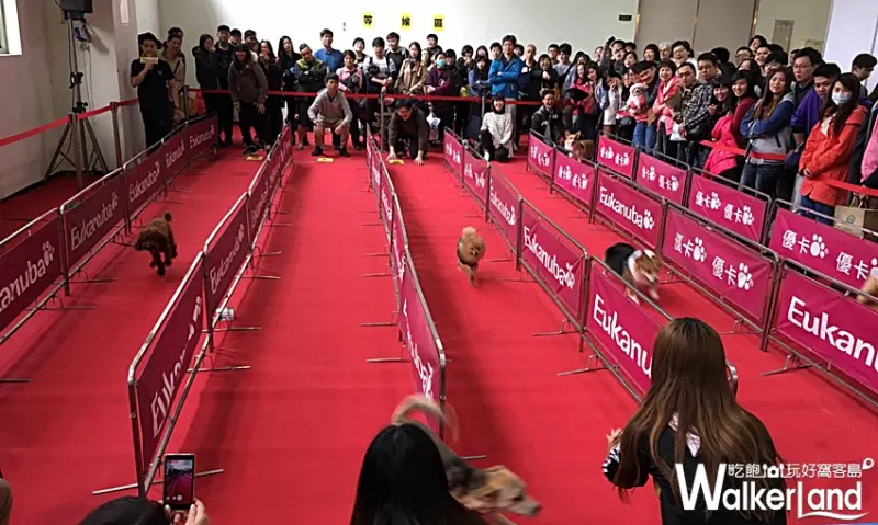 台北寵物用品博覽會 / WalkerLand窩客島提供