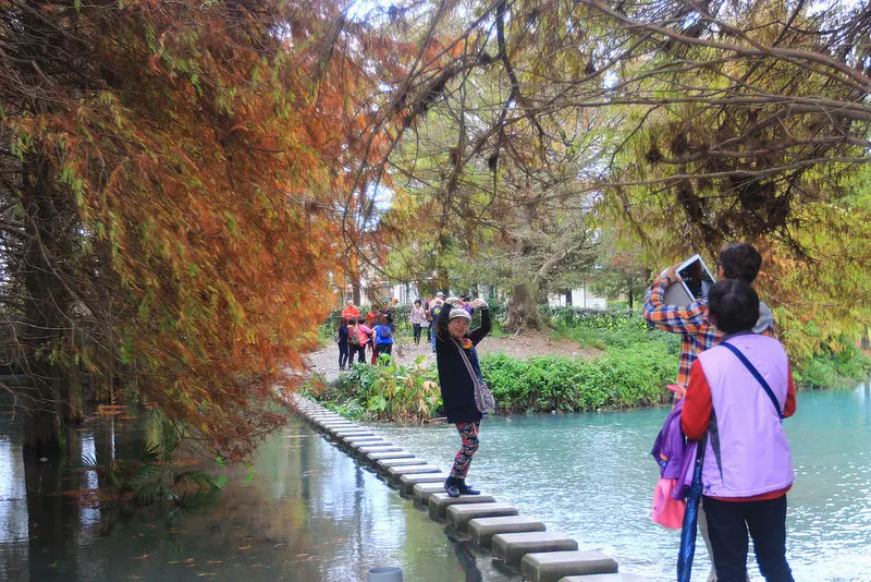 窩客 Amy Ho 推薦 雲山水濕地生態園區