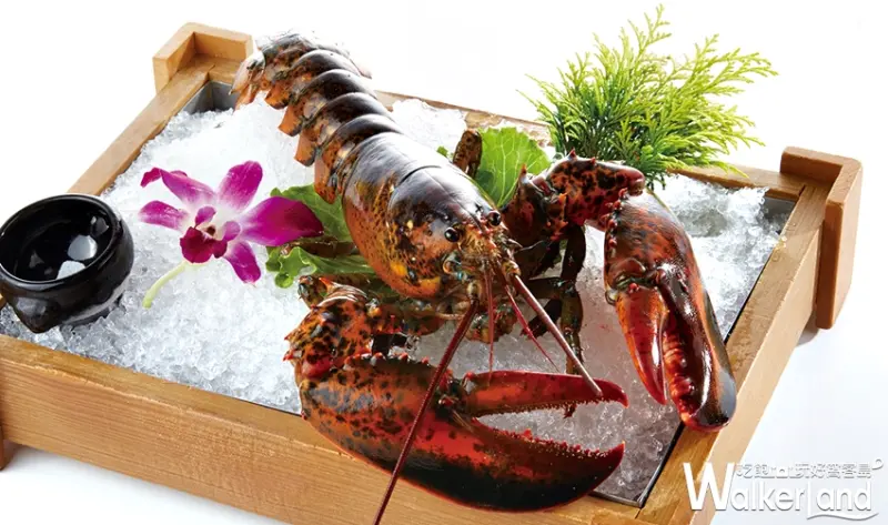 這一鍋 / WalkerLand窩客島提供