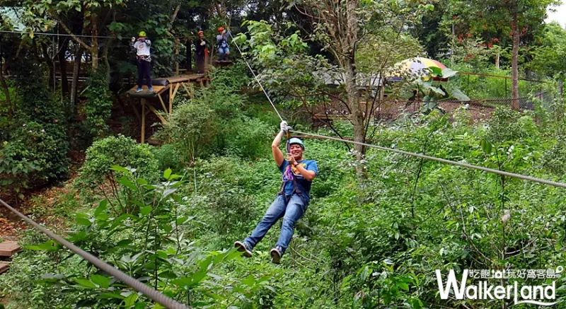 野猴子探險森林