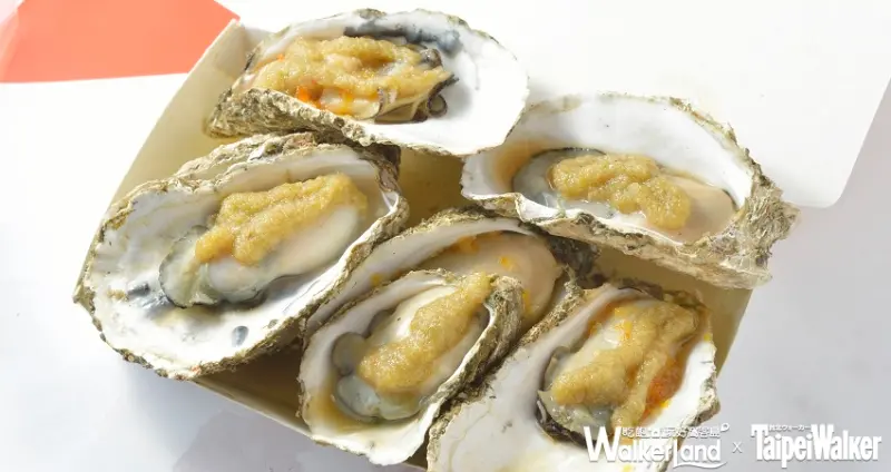 Taipei Walker 火車環島