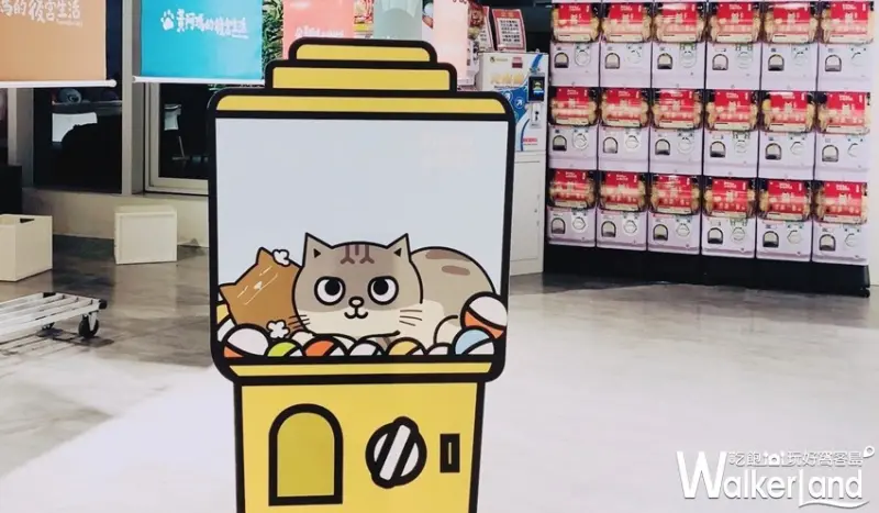 黃阿瑪的後宮生活 扭蛋公仔 / WalkerLand窩客島整理提供 未經許可不可轉載