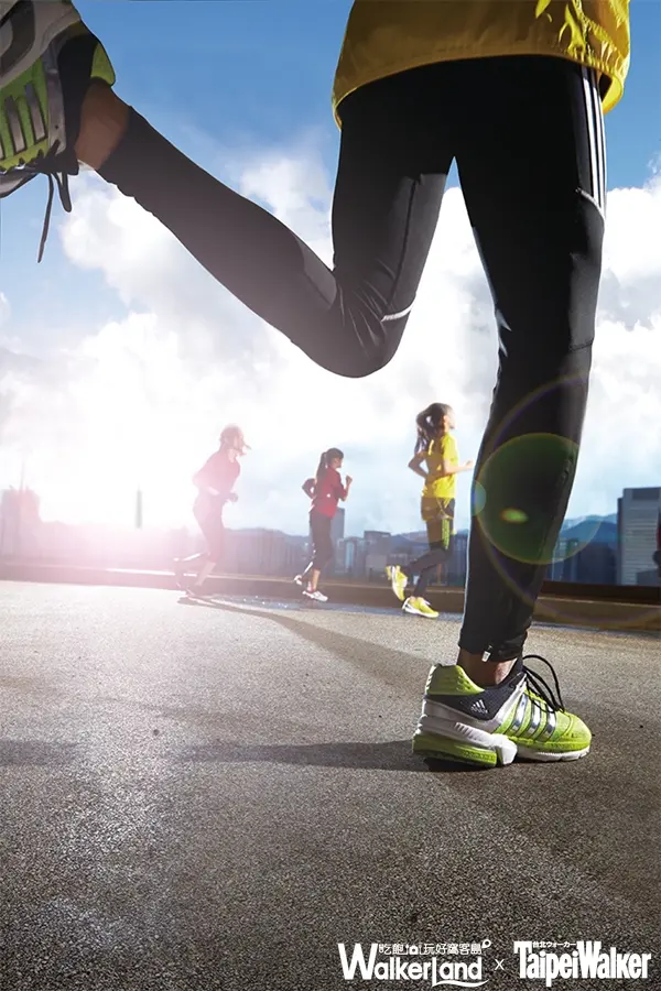 Taipei Walker 1月 / WalkerLand窩客島提供