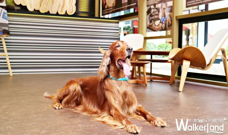 金普頓®酒店及餐廳(Kimpton Hotels & Restaurants)/ WalkerLand窩客島整理提供