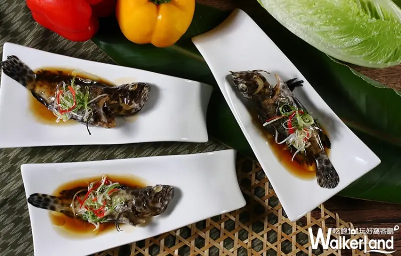 美麗信雨林餐廳 / WalkerLand窩客島整理提供