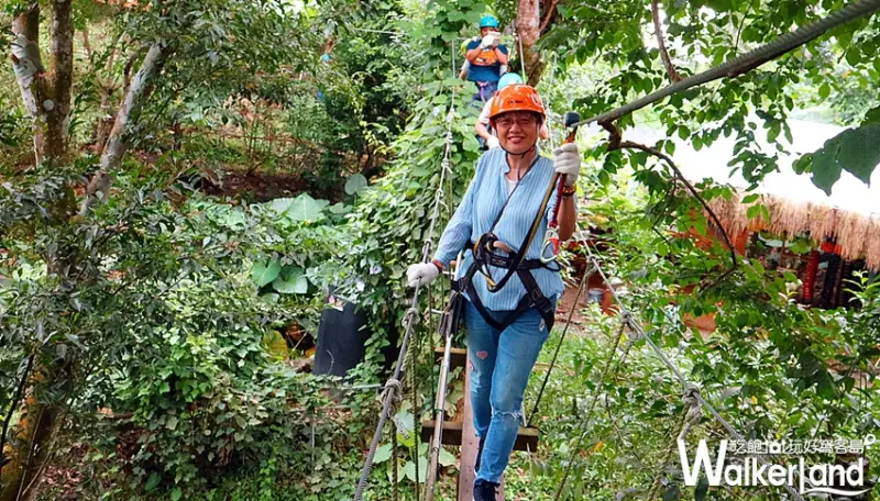野猴子探險森林