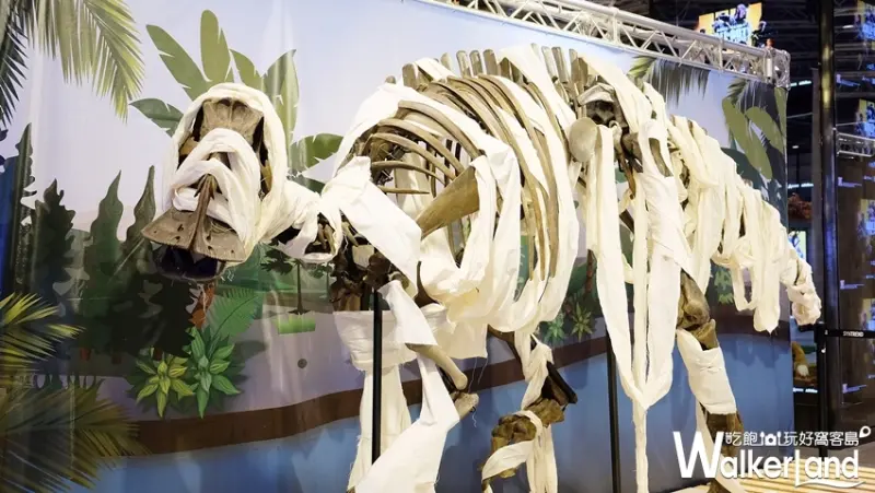 我是馬克十週年紀念展/ WalkerLand窩客島提供