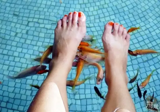 新竹x尖石x親子||泡個美人湯 讓皮膚古溜光滑